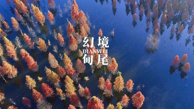 沪江开心词场