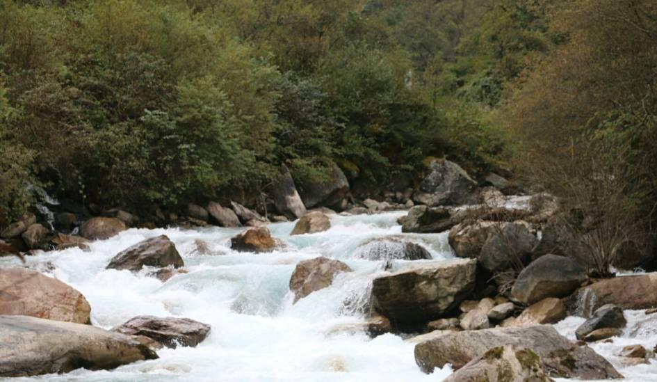 亚麻籽油是调和油吗？游戏画面